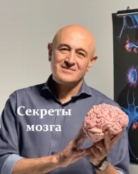 BBC: Секреты мозга (2025)