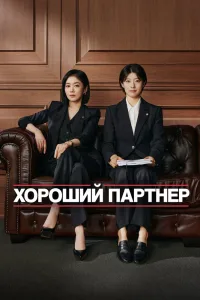 Хороший партнёр (2024)